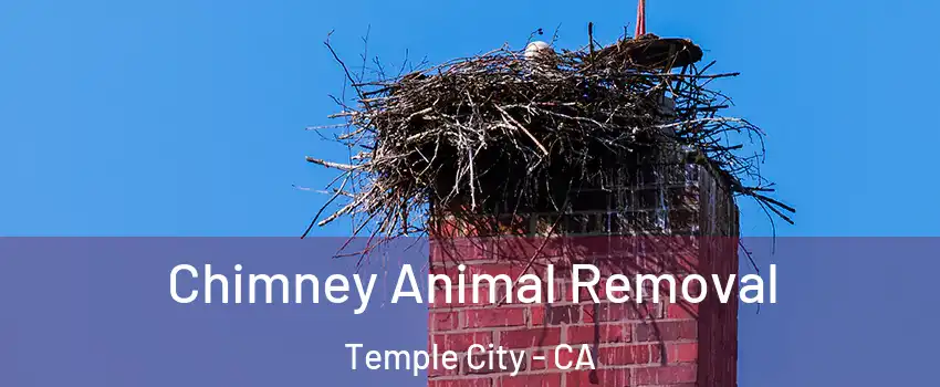Chimney Animal Removal Temple City - CA
