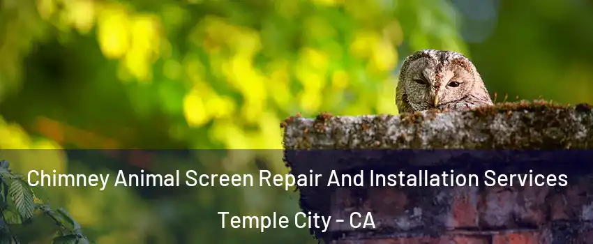  Chimney Animal Screen Repair And Installation Services Temple City - CA
