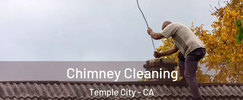  Chimney Cleaning Temple City - CA