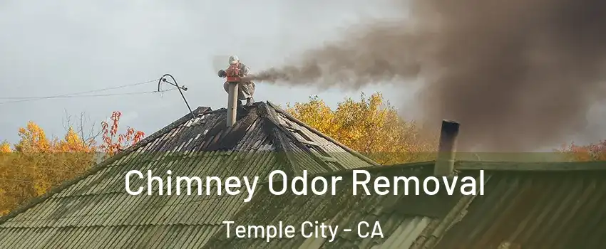  Chimney Odor Removal Temple City - CA
