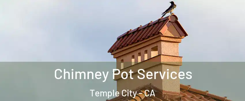  Chimney Pot Services Temple City - CA