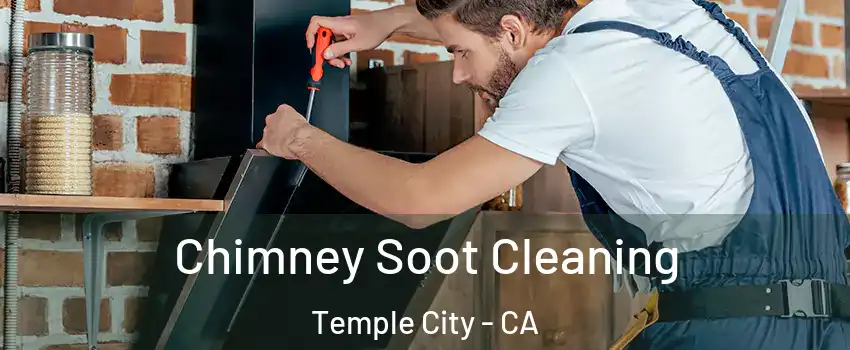  Chimney Soot Cleaning Temple City - CA