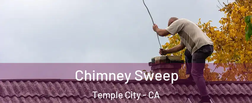  Chimney Sweep Temple City - CA