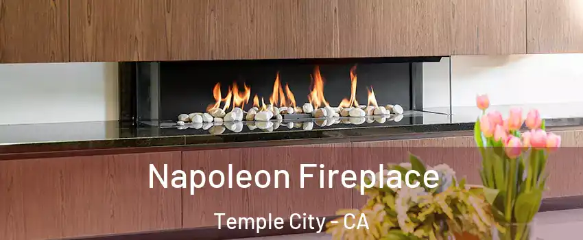 Napoleon Fireplace Temple City - CA
